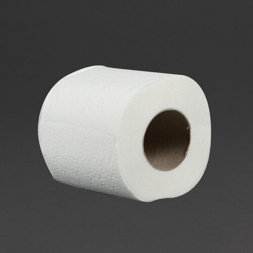 Jantex Standard Toilet Roll 2ply 200 Sheets (9 x 4 Pack)